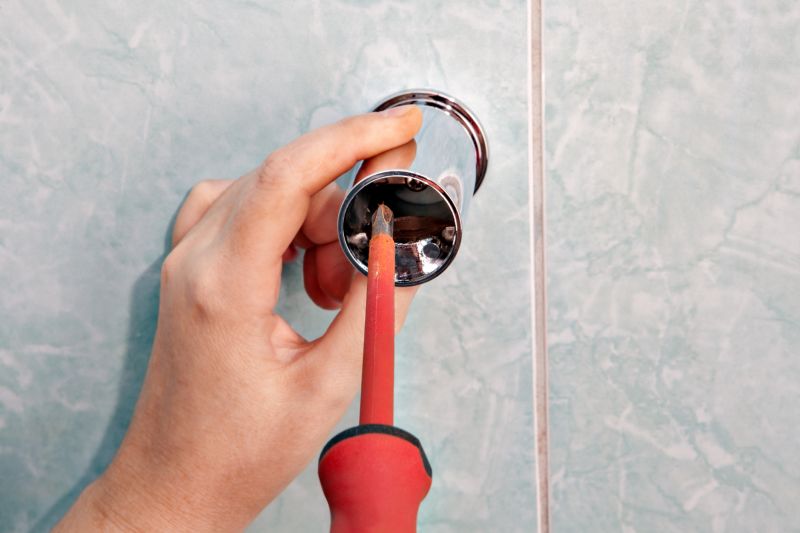 Shower Lever Repair in Denver, CO